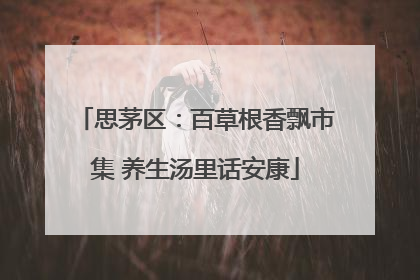 思茅区：百草根香飘市集 养生汤里话安康