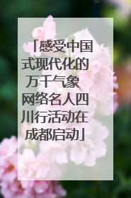 感受中国式现代化的万千气象 网络名人四川行活动在成都启动