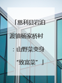 慈利县岩泊渡镇杨家桥村：山野菜变身“致富菜”