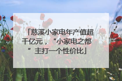 慈溪小家电年产值超千亿元，“小家电之都”主打一个性价比