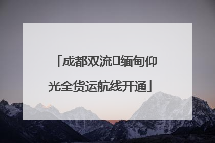 成都双流⇌缅甸仰光全货运航线开通