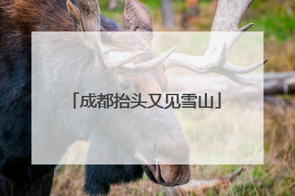 成都抬头又见雪山