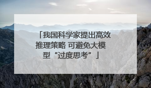 我国科学家提出高效推理策略 可避免大模型“过度思考”