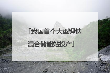 我国首个大型锂钠混合储能站投产