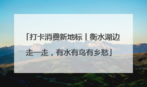 打卡消费新地标丨衡水湖边走一走，有水有鸟有乡愁