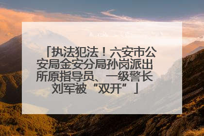 执法犯法！六安市公安局金安分局孙岗派出所原指导员、一级警长刘军被“双开”