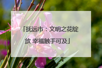 抚远市：文明之花绽放 幸福触手可及