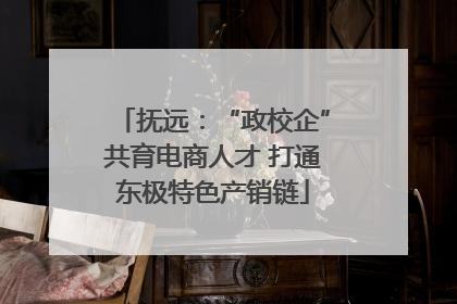 抚远：“政校企”共育电商人才 打通东极特色产销链