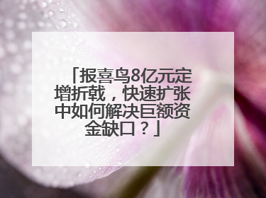 报喜鸟8亿元定增折戟，快速扩张中如何解决巨额资金缺口？