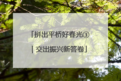 拼出平桥好春光③｜交出振兴新答卷