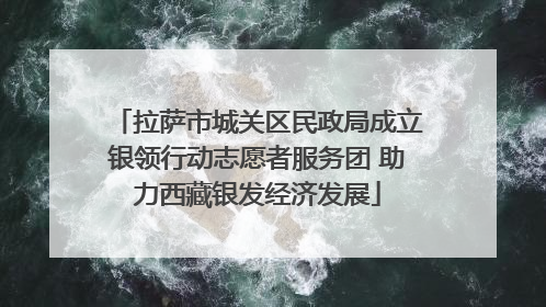 拉萨市城关区民政局成立银领行动志愿者服务团 助力西藏银发经济发展