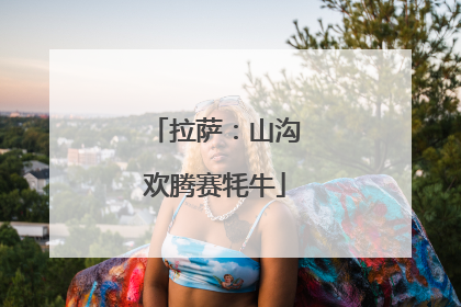 拉萨：山沟欢腾赛牦牛