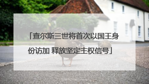 查尔斯三世将首次以国王身份访加 释放坚定主权信号