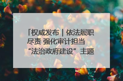 权威发布｜依法履职尽责 强化审计担当 “法治政府建设”主题系列新闻发布会市审计局专场召开
