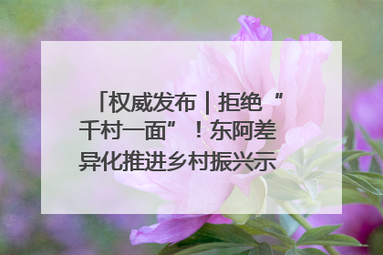 权威发布｜拒绝“千村一面”！东阿差异化推进乡村振兴示范片区建设