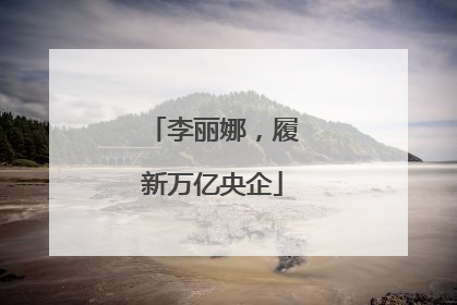 李丽娜，履新万亿央企