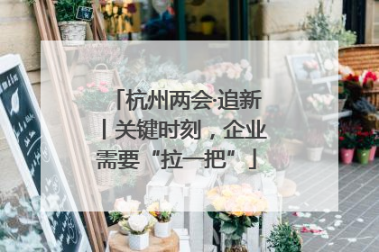 杭州两会·追新丨关键时刻，企业需要“拉一把”