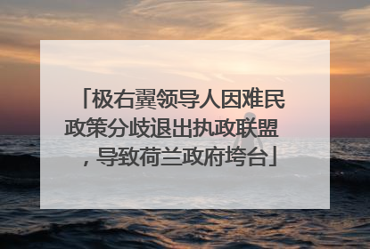 极右翼领导人因难民政策分歧退出执政联盟，导致荷兰政府垮台