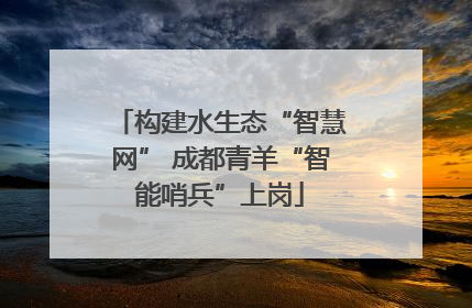 构建水生态“智慧网” 成都青羊“智能哨兵”上岗
