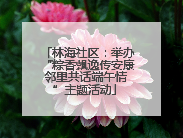 林海社区：举办“粽香飘逸传安康 邻里共话端午情”主题活动