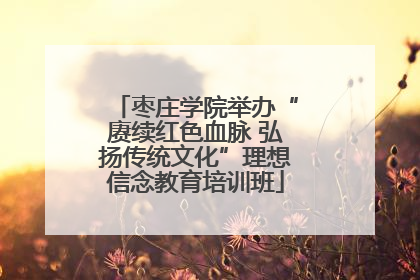 枣庄学院举办“赓续红色血脉 弘扬传统文化”理想信念教育培训班