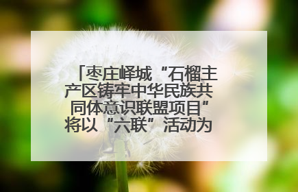 枣庄峄城“石榴主产区铸牢中华民族共同体意识联盟项目”将以“六联”活动为抓手深化品牌建设