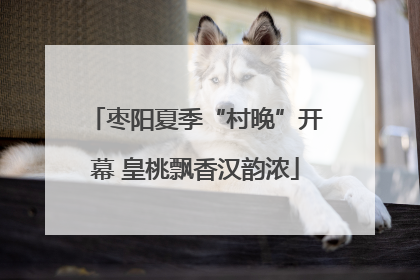 枣阳夏季“村晚”开幕 皇桃飘香汉韵浓