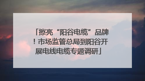 擦亮“阳谷电缆”品牌！市场监管总局到阳谷开展电线电缆专题调研