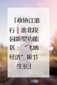 政协江淮行｜淮北段园新型功能区：“飞地经济”拔节生长