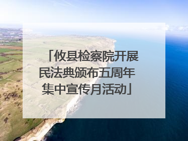 攸县检察院开展民法典颁布五周年集中宣传月活动