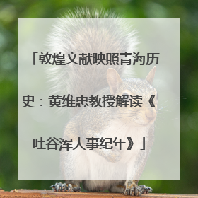 敦煌文献映照青海历史：黄维忠教授解读《吐谷浑大事纪年》