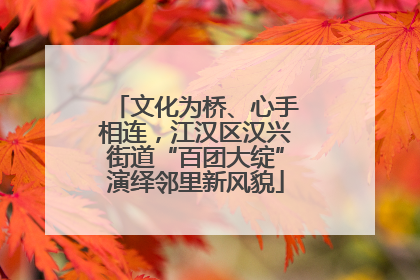 文化为桥、心手相连，江汉区汉兴街道“百团大绽”演绎邻里新风貌