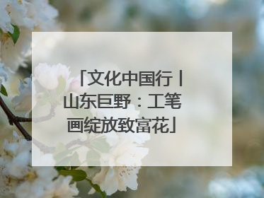 文化中国行丨山东巨野：工笔画绽放致富花
