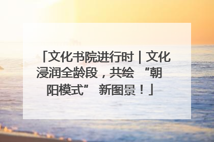 文化书院进行时｜文化浸润全龄段，共绘 “朝阳模式” 新图景！