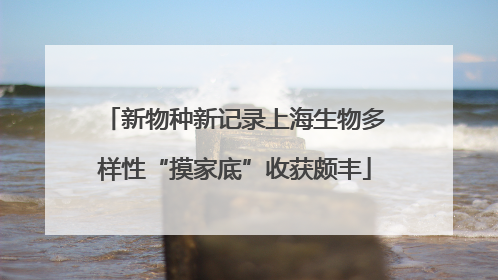 新物种新记录上海生物多样性“摸家底”收获颇丰