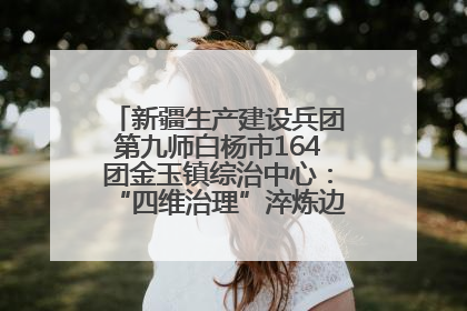 新疆生产建设兵团第九师白杨市164团金玉镇综治中心：“四维治理”淬炼边疆“枫桥样本”