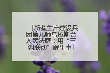 新疆生产建设兵团第九师乌拉斯台人民法庭：用“三调联动”解牛事