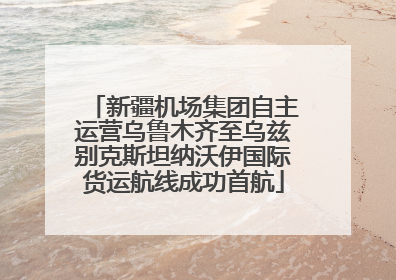 新疆机场集团自主运营乌鲁木齐至乌兹别克斯坦纳沃伊国际货运航线成功首航