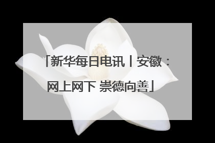 新华每日电讯丨安徽：网上网下 崇德向善