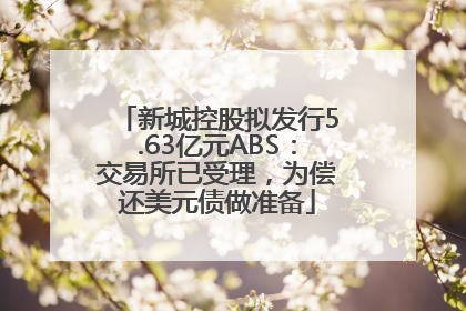新城控股拟发行5.63亿元ABS：交易所已受理，为偿还美元债做准备