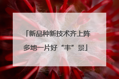 新品种新技术齐上阵 多地一片好“丰”景