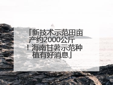新技术示范田亩产约2000公斤！海南甘薯示范种植有好消息