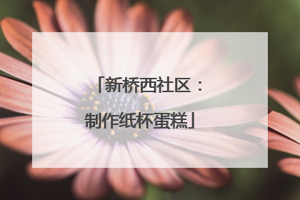 新桥西社区：制作纸杯蛋糕