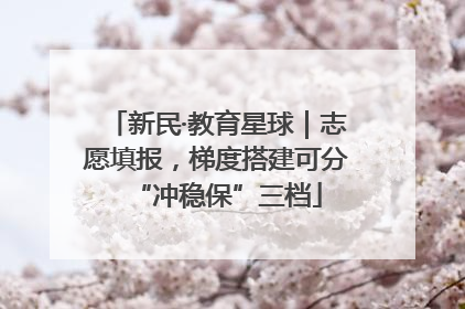新民·教育星球｜志愿填报，梯度搭建可分“冲稳保”三档