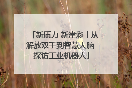 新质力 新津彩丨从解放双手到智慧大脑 探访工业机器人
