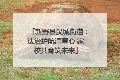新野县汉城街道：法治护航润童心 家校共育筑未来