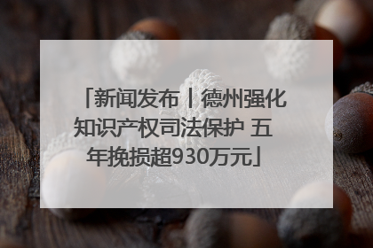 新闻发布丨德州强化知识产权司法保护 五年挽损超930万元