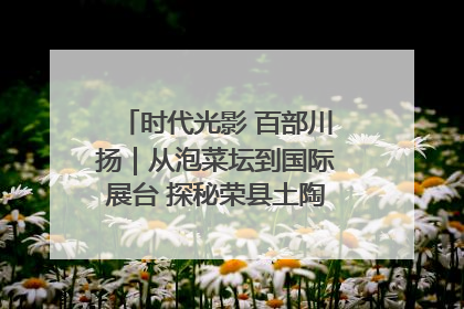 时代光影 百部川扬｜从泡菜坛到国际展台 探秘荣县土陶的“破圈”之路