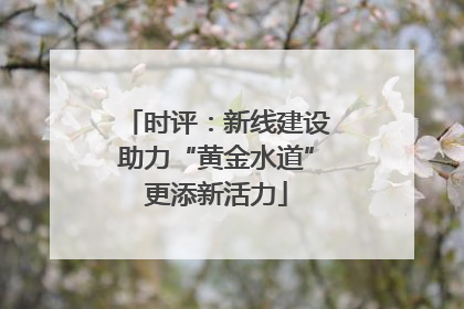 时评：新线建设助力“黄金水道”更添新活力