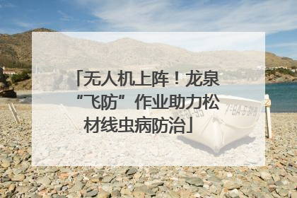 无人机上阵！龙泉“飞防”作业助力松材线虫病防治